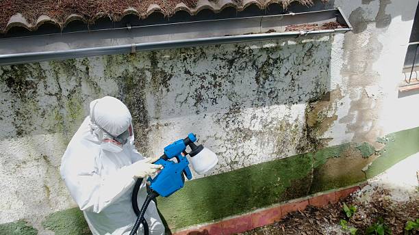 Trusted Mold Testing service in Roanoke, VA - Cheap Mold Removal
